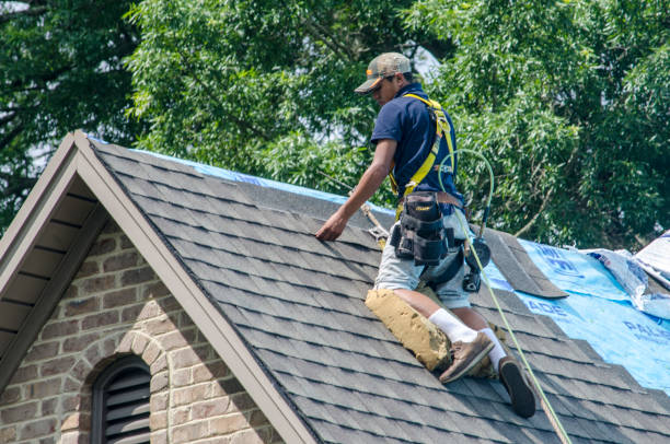 Best Local Roofing Companies  in Portage, PA